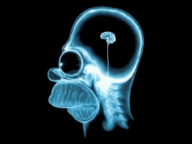 Рентгеновский снимок мозга Гомера Симпсона. Иллюстрация с сайта psy.msu.ru