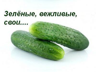 Зелёные, вежливые, свои... Каспаров.Ru